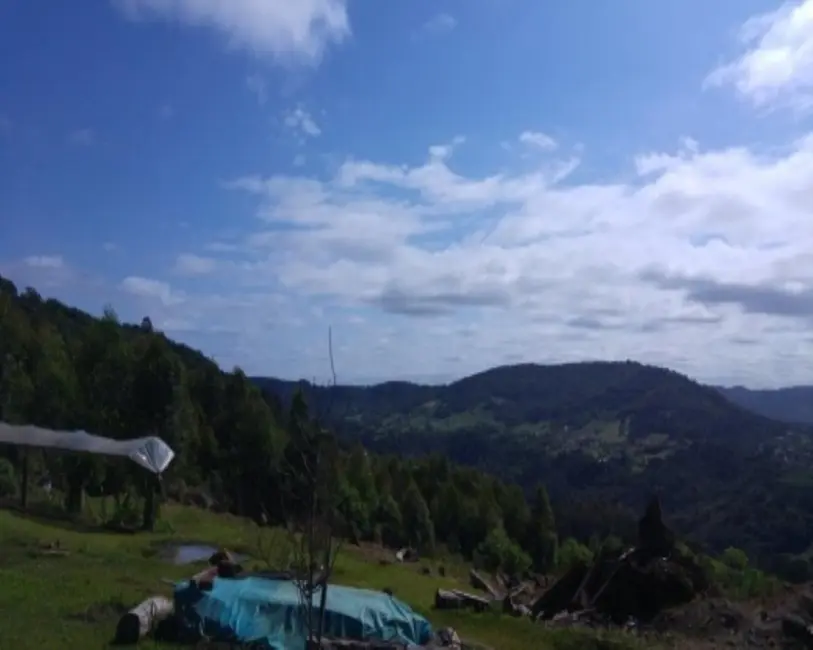 Foto 6 de Chácara com 2 quartos à venda em Nova Petropolis - RS