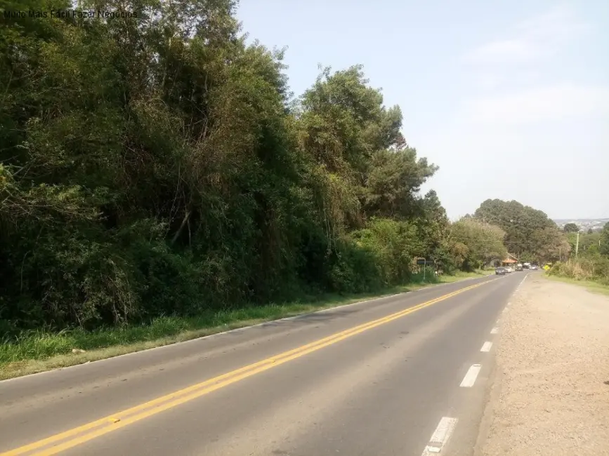 Terreno / Lote à venda, 5864m2 em Nova Petropolis - RS - imagem 5 Foto 5 de Terreno / Lote à venda, 5864m2 em Nova Petropolis - RS