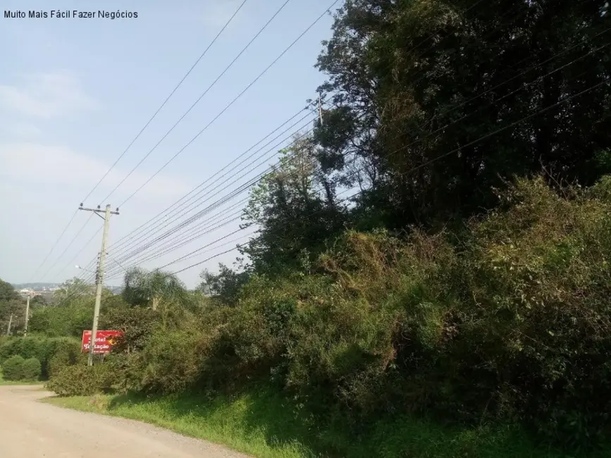 Terreno / Lote à venda, 5864m2 em Nova Petropolis - RS - imagem 3 Foto 3 de Terreno / Lote à venda, 5864m2 em Nova Petropolis - RS