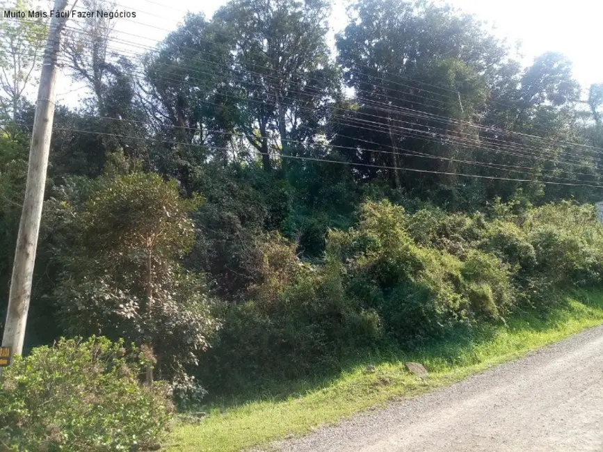 Foto 2 de Terreno / Lote à venda, 5864m2 em Nova Petropolis - RS