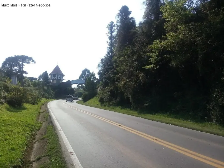 Terreno / Lote à venda, 5864m2 em Nova Petropolis - RS - imagem 6 Foto 6 de Terreno / Lote à venda, 5864m2 em Nova Petropolis - RS