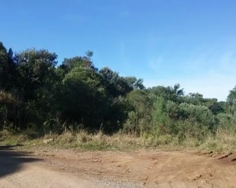 Foto 1 de Terreno / Lote à venda, 5000m2 em Nova Petropolis - RS
