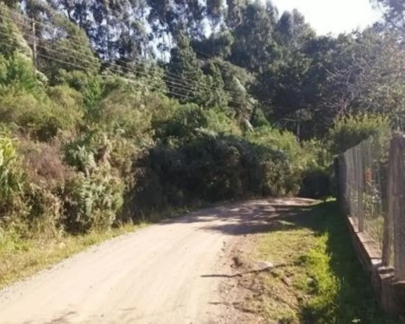 Terreno / Lote à venda, 5000m2 em Nova Petropolis - RS - imagem 4 Foto 4 de Terreno / Lote à venda, 5000m2 em Nova Petropolis - RS