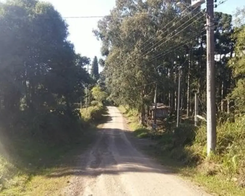 Terreno / Lote à venda, 5000m2 em Nova Petropolis - RS - imagem 3 Foto 3 de Terreno / Lote à venda, 5000m2 em Nova Petropolis - RS