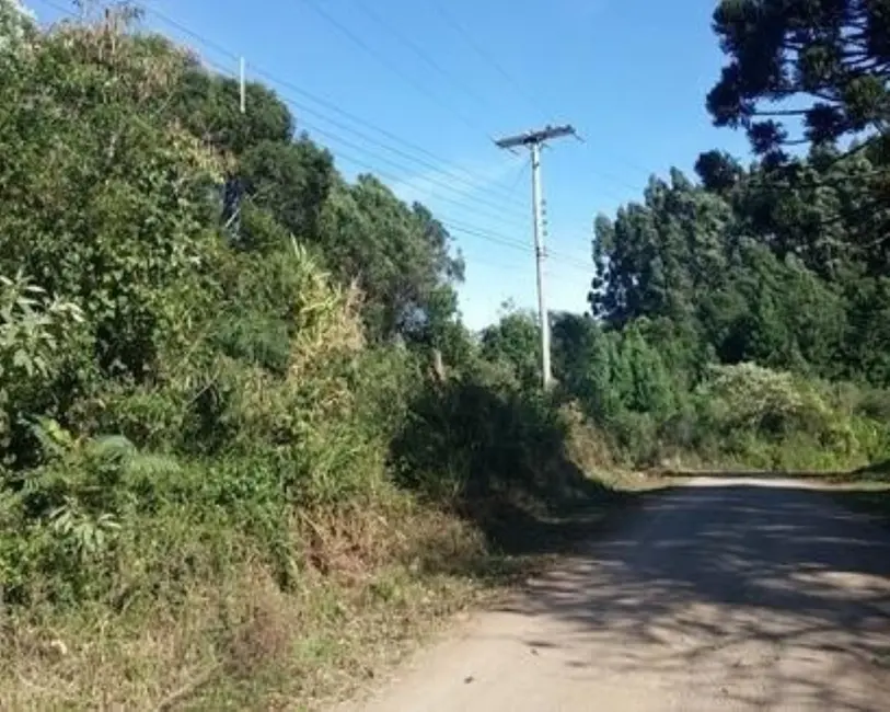 Terreno / Lote à venda, 5000m2 em Nova Petropolis - RS - imagem 2 Foto 2 de Terreno / Lote à venda, 5000m2 em Nova Petropolis - RS