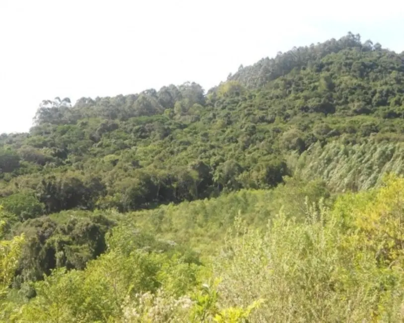 Terreno / Lote à venda em Picada Cafe - RS - imagem 2 Foto 2 de Terreno / Lote à venda em Picada Cafe - RS