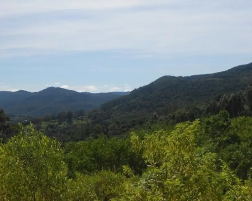 Foto 1 de Terreno / Lote à venda em Picada Cafe - RS