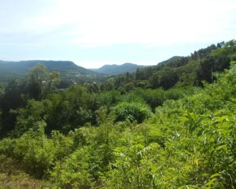 Terreno / Lote à venda em Picada Cafe - RS - imagem 3 Foto 3 de Terreno / Lote à venda em Picada Cafe - RS