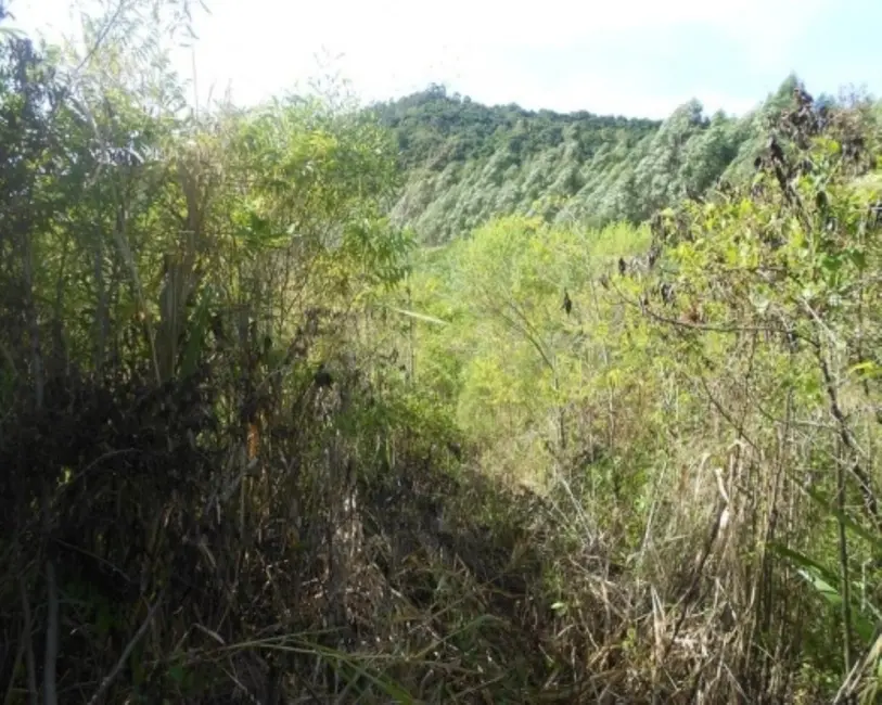 Terreno / Lote à venda em Picada Cafe - RS - imagem 8 Foto 8 de Terreno / Lote à venda em Picada Cafe - RS