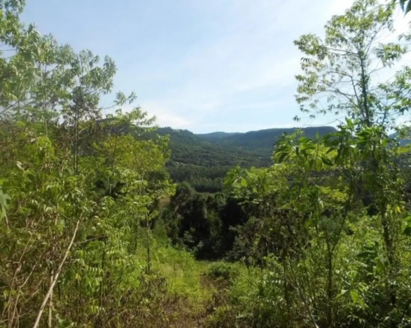 Terreno / Lote à venda em Picada Cafe - RS - imagem 5 Foto 5 de Terreno / Lote à venda em Picada Cafe - RS