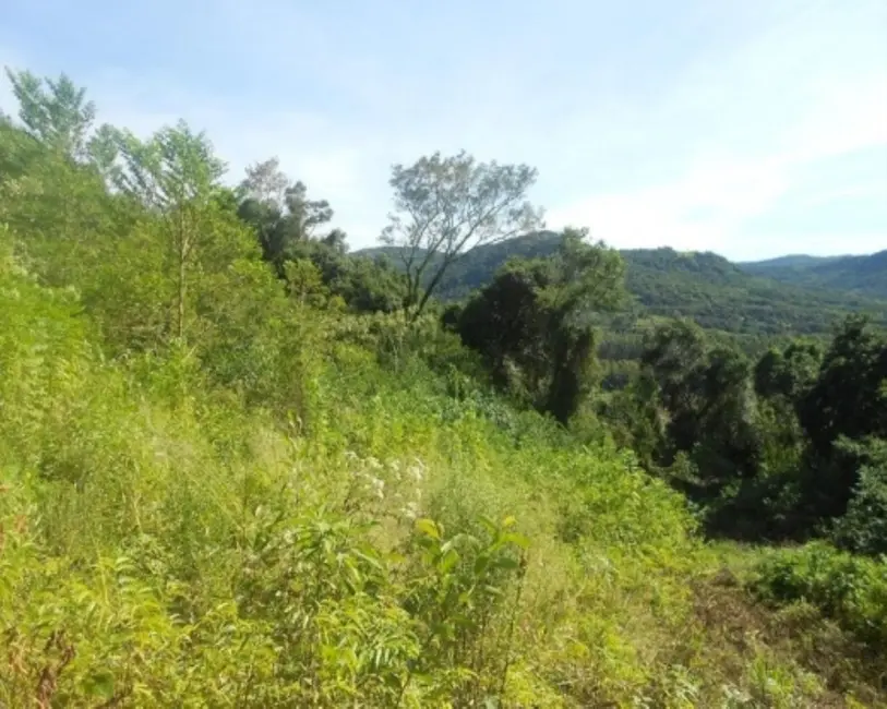 Terreno / Lote à venda em Picada Cafe - RS - imagem 4 Foto 4 de Terreno / Lote à venda em Picada Cafe - RS