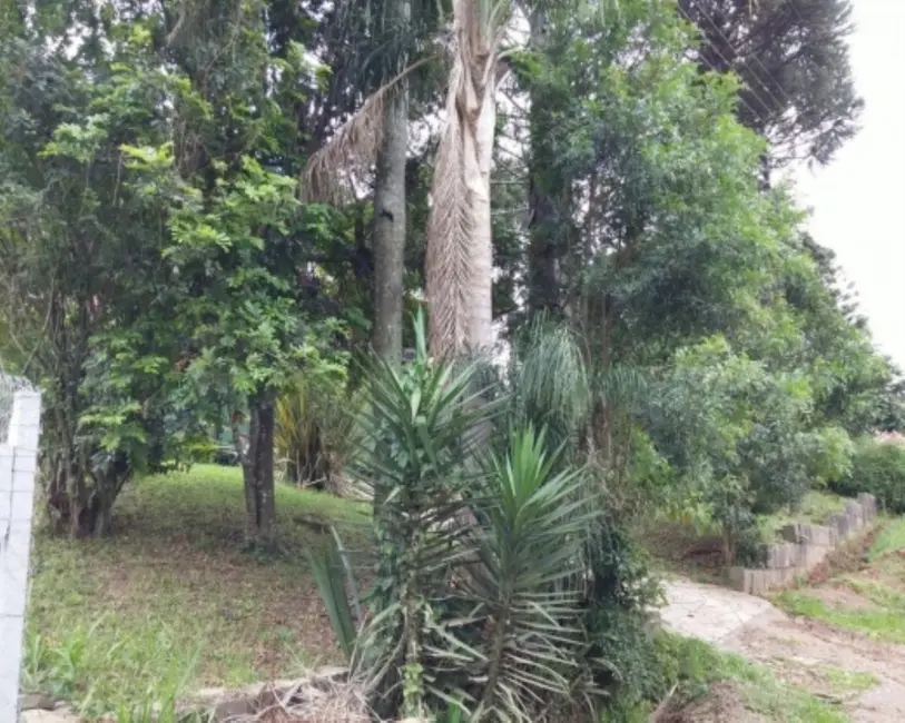 Casa com 3 quartos à venda, 164m2 em Nova Petropolis - RS - imagem 4 Foto 4 de Casa com 3 quartos à venda, 164m2 em Nova Petropolis - RS