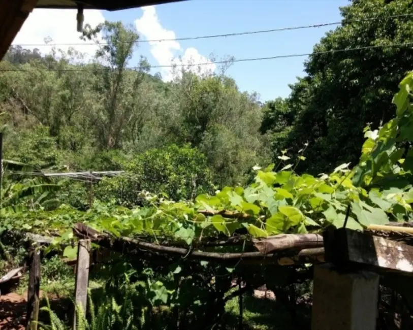 Foto 3 de Sítio / Rancho com 4 quartos à venda, 88m2 em Nova Petropolis - RS