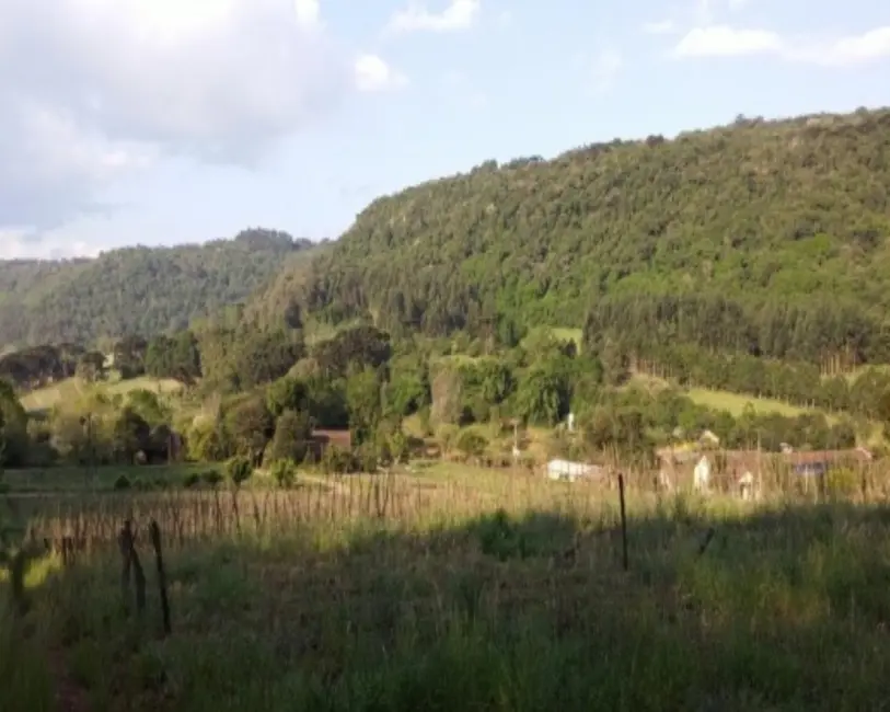 Foto 6 de Terreno / Lote à venda, 8700m2 em Nova Petropolis - RS