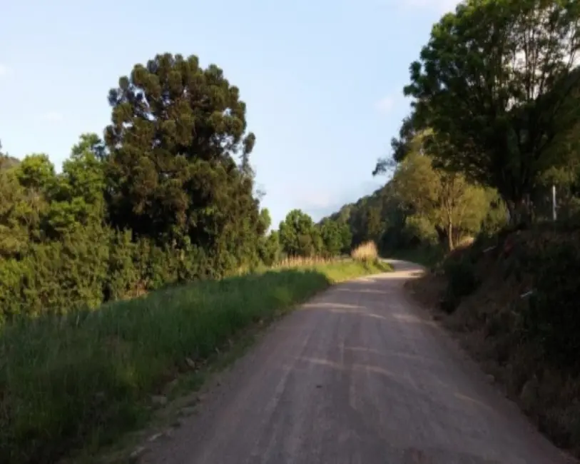 Foto 5 de Terreno / Lote à venda, 8700m2 em Nova Petropolis - RS
