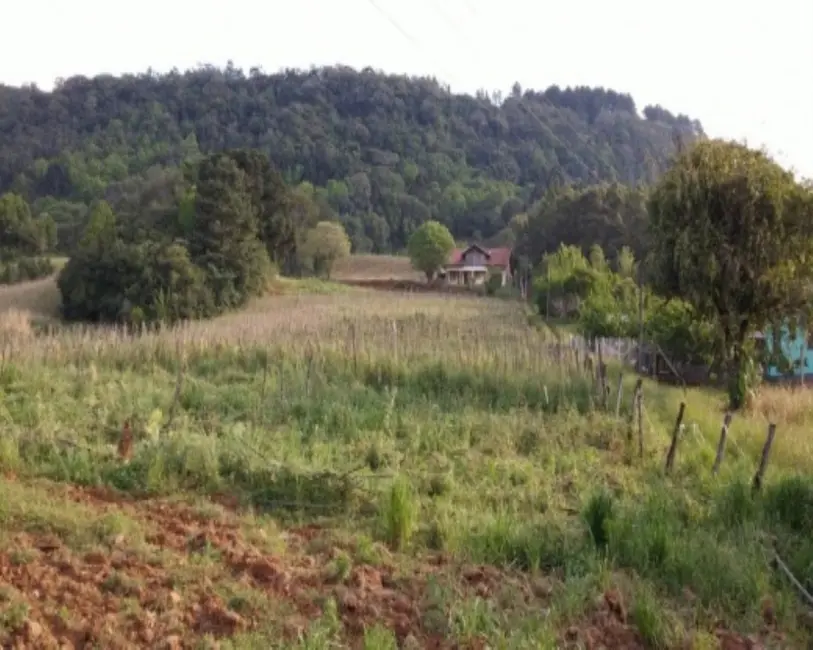 Foto 1 de Terreno / Lote à venda, 8700m2 em Nova Petropolis - RS