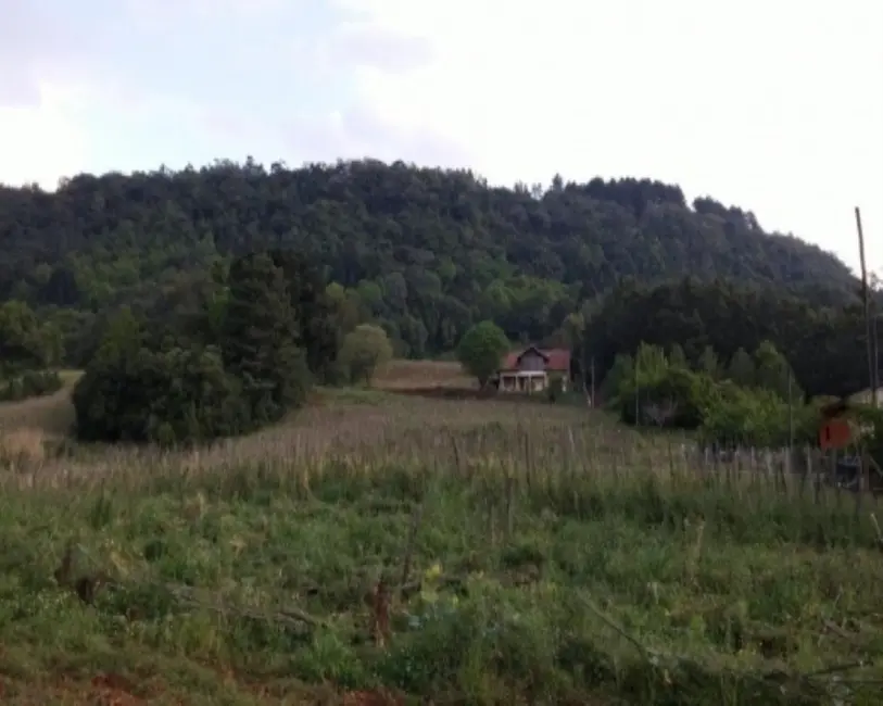Foto 3 de Terreno / Lote à venda, 8700m2 em Nova Petropolis - RS