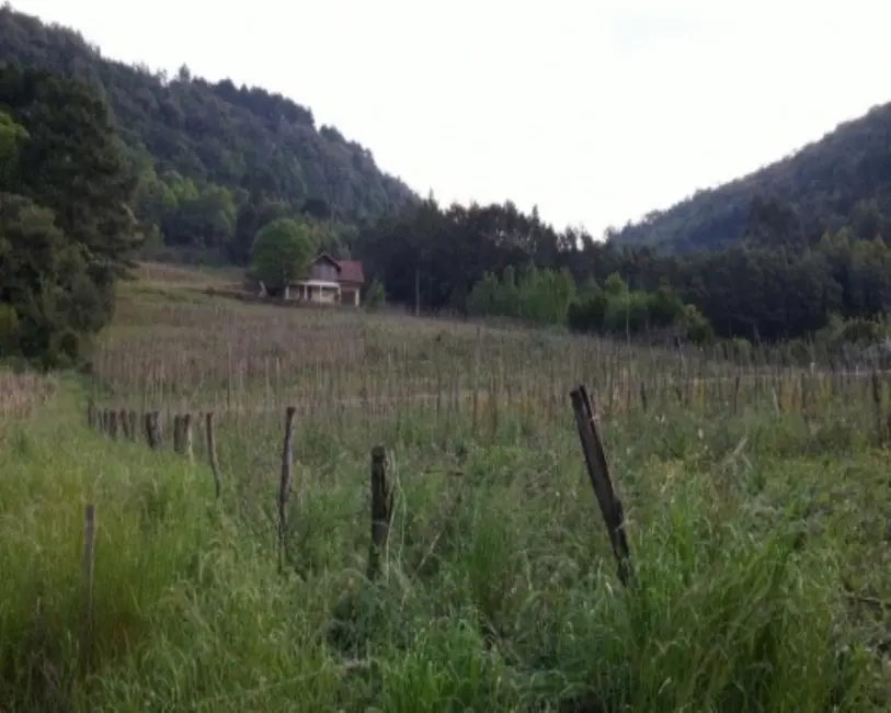 Foto 4 de Terreno / Lote à venda, 8700m2 em Nova Petropolis - RS