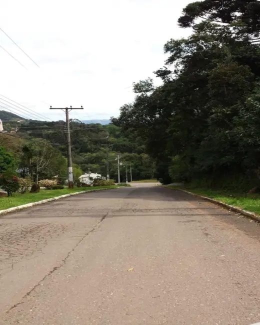 Foto 2 de Terreno / Lote à venda, 429m2 em Nova Petropolis - RS