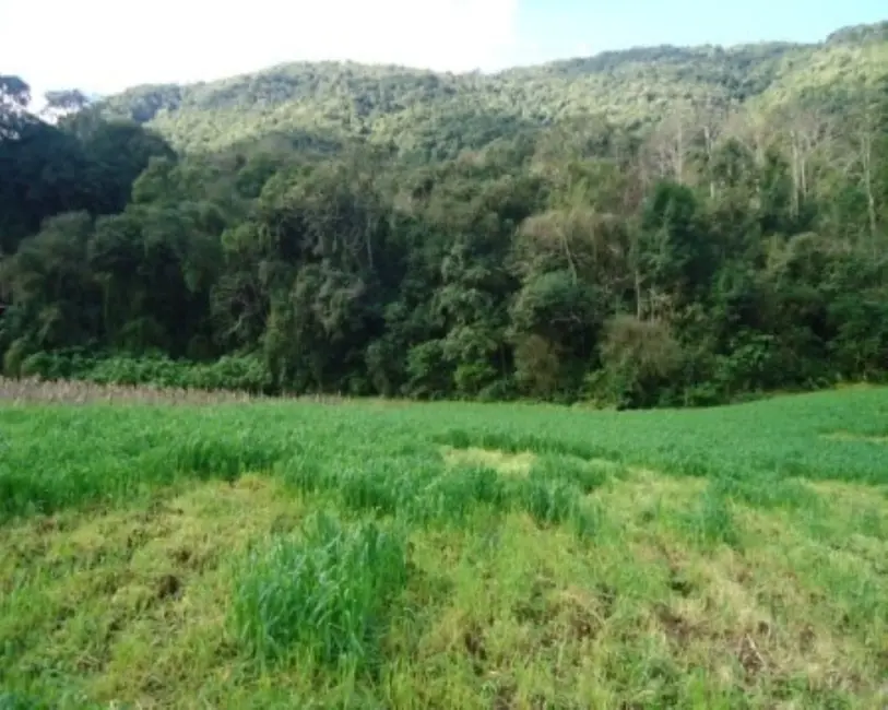 Terreno / Lote à venda em Nova Petropolis - RS - imagem 4 Foto 4 de Terreno / Lote à venda em Nova Petropolis - RS