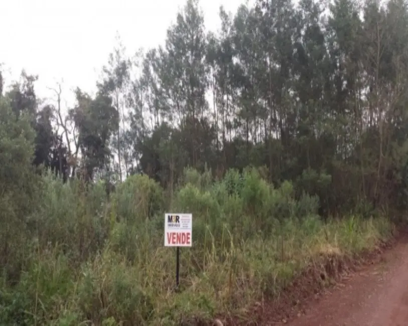 Foto 1 de Terreno / Lote à venda em Nova Petropolis - RS