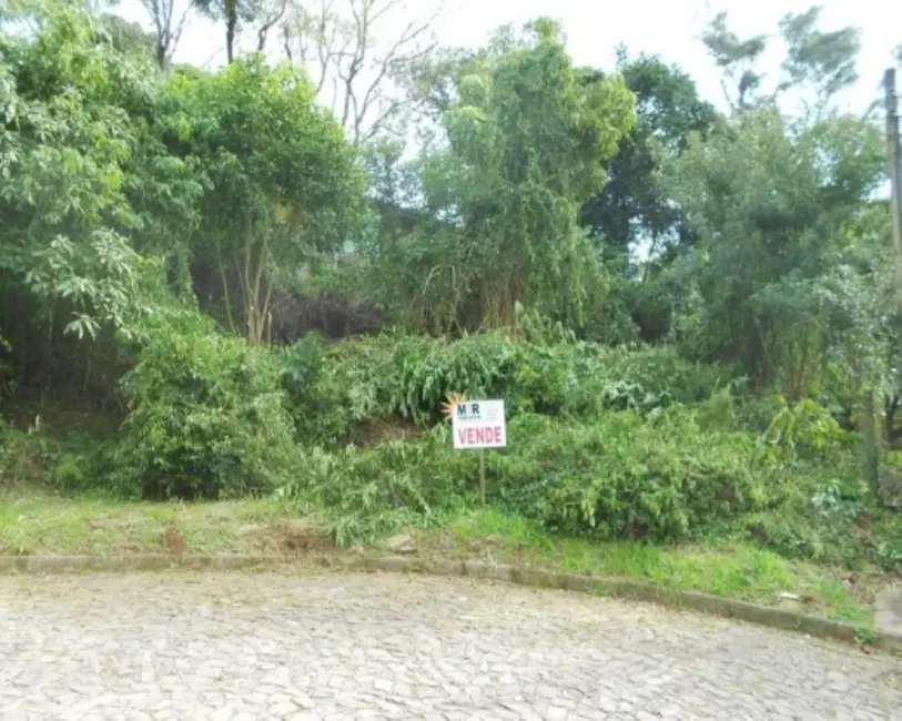 Foto 1 de Terreno / Lote à venda, 743m2 em Nova Petropolis - RS