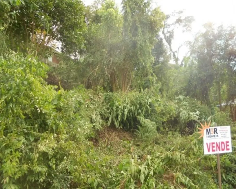 Foto 3 de Terreno / Lote à venda, 743m2 em Nova Petropolis - RS