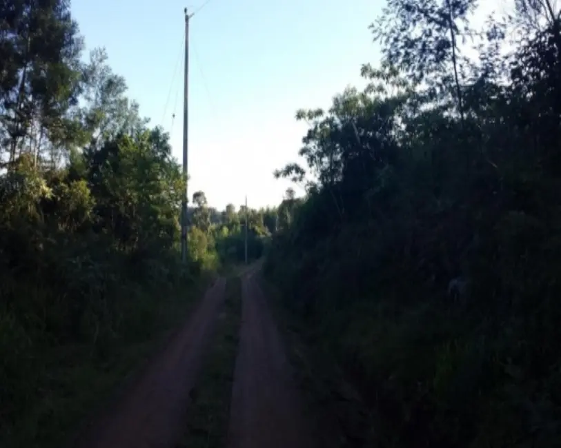 Terreno / Lote à venda em Nova Petropolis - RS - imagem 8 Foto 8 de Terreno / Lote à venda em Nova Petropolis - RS