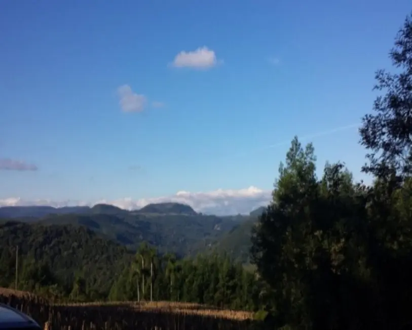 Foto 1 de Terreno / Lote à venda em Nova Petropolis - RS