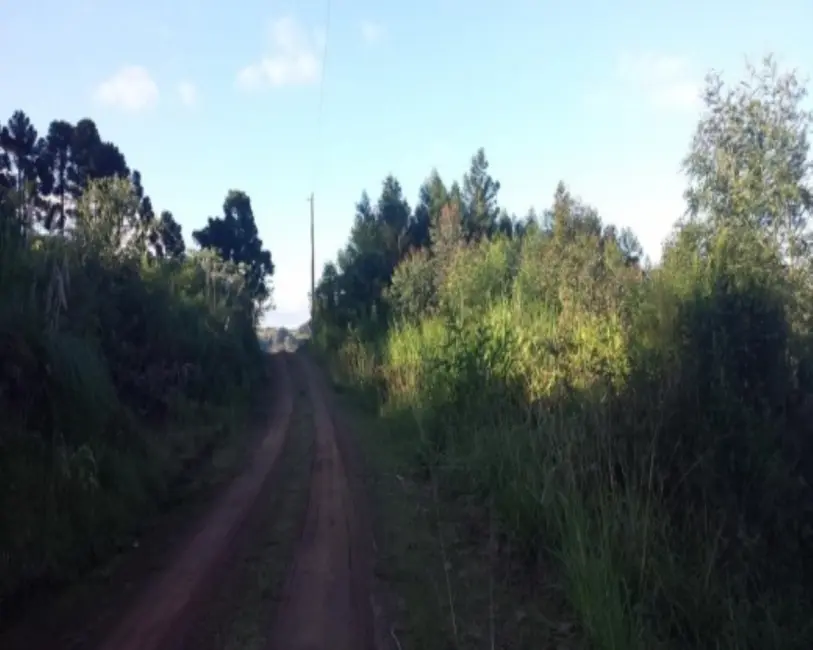 Terreno / Lote à venda em Nova Petropolis - RS - imagem 6 Foto 6 de Terreno / Lote à venda em Nova Petropolis - RS