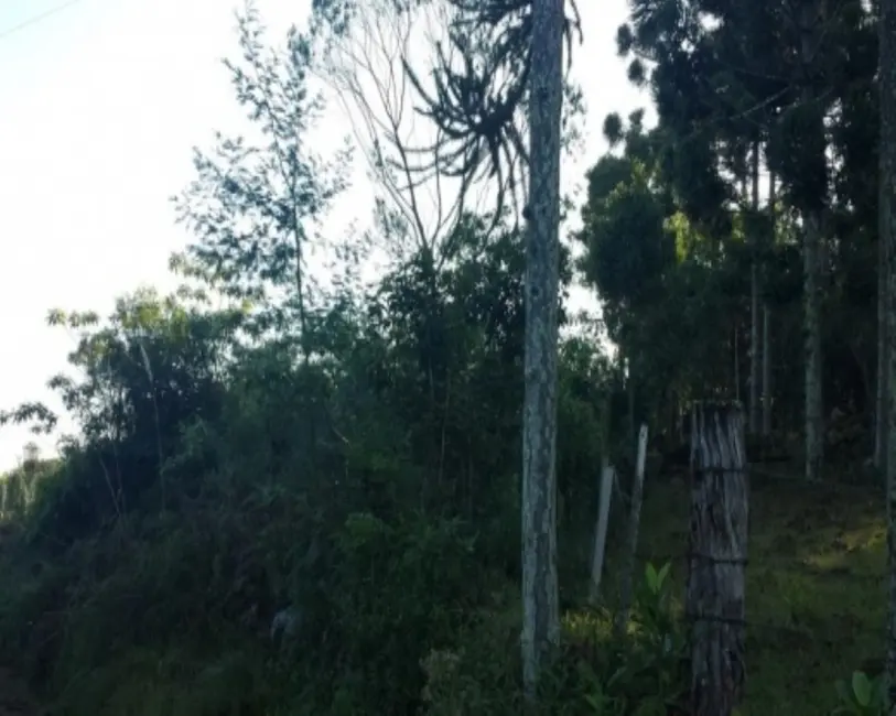 Terreno / Lote à venda em Nova Petropolis - RS - imagem 7 Foto 7 de Terreno / Lote à venda em Nova Petropolis - RS