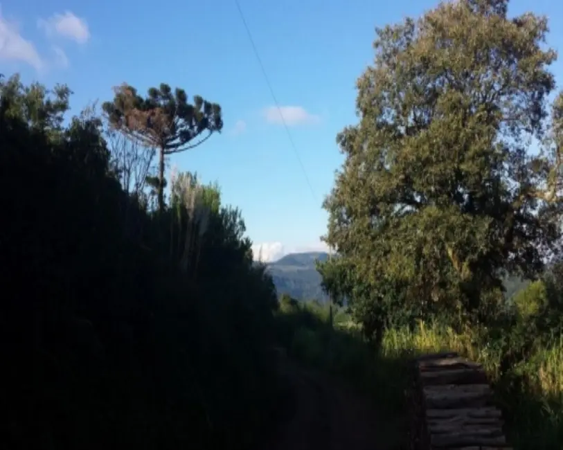 Foto 2 de Terreno / Lote à venda em Nova Petropolis - RS