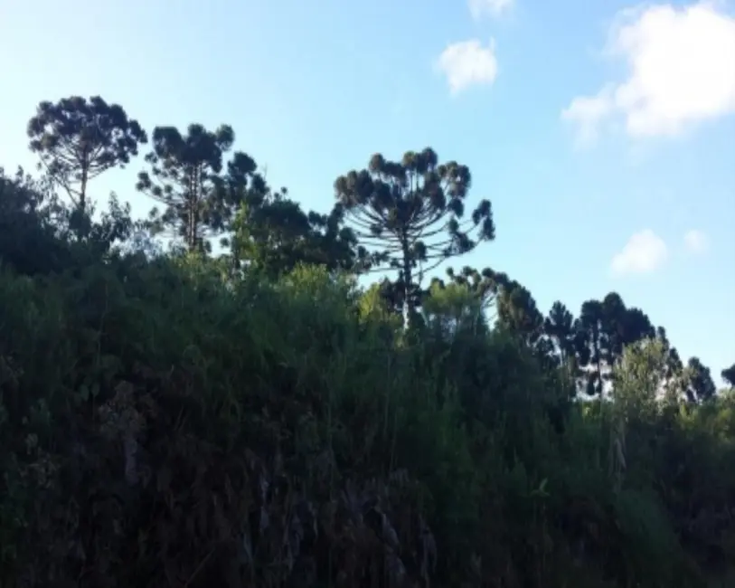 Terreno / Lote à venda em Nova Petropolis - RS - imagem 4 Foto 4 de Terreno / Lote à venda em Nova Petropolis - RS