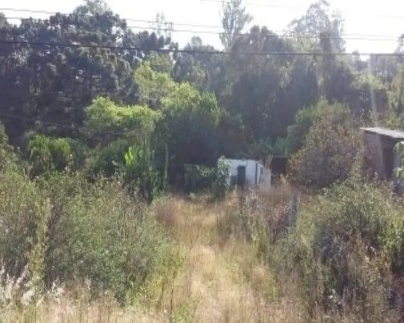 Terreno / Lote à venda, 496m2 em Nova Petropolis - RS - imagem 7 Foto 7 de Terreno / Lote à venda, 496m2 em Nova Petropolis - RS