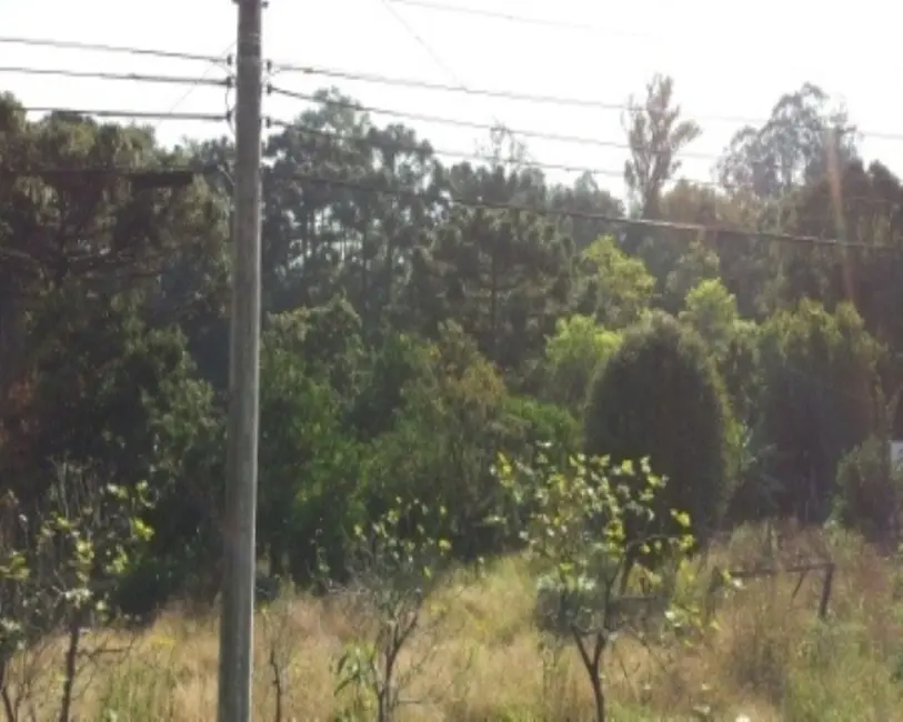 Terreno / Lote à venda, 496m2 em Nova Petropolis - RS - imagem 3 Foto 3 de Terreno / Lote à venda, 496m2 em Nova Petropolis - RS