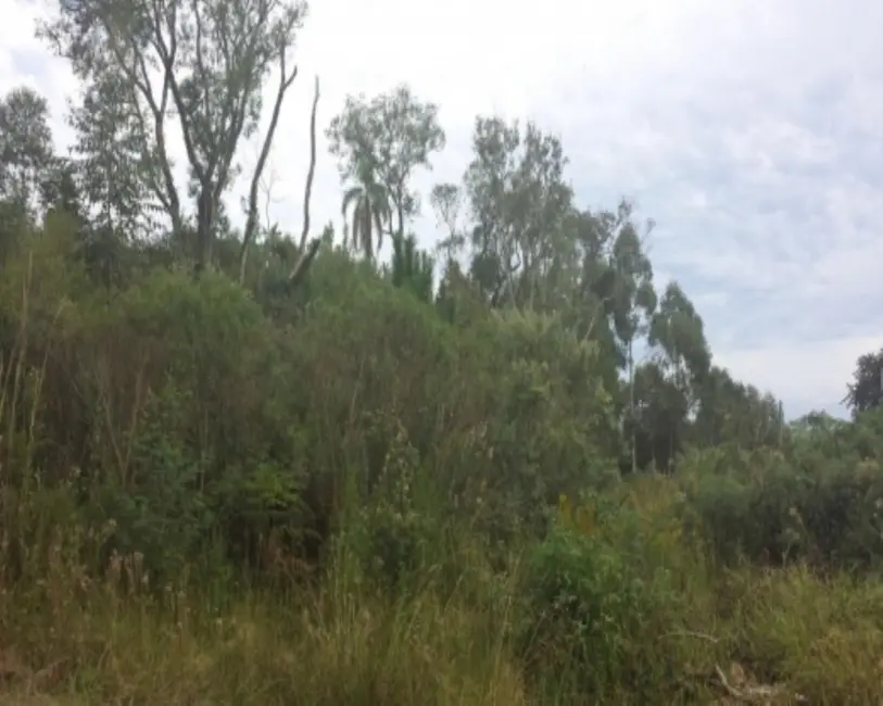 Terreno / Lote à venda, 2498m2 em Nova Petropolis - RS - imagem 6 Foto 6 de Terreno / Lote à venda, 2498m2 em Nova Petropolis - RS
