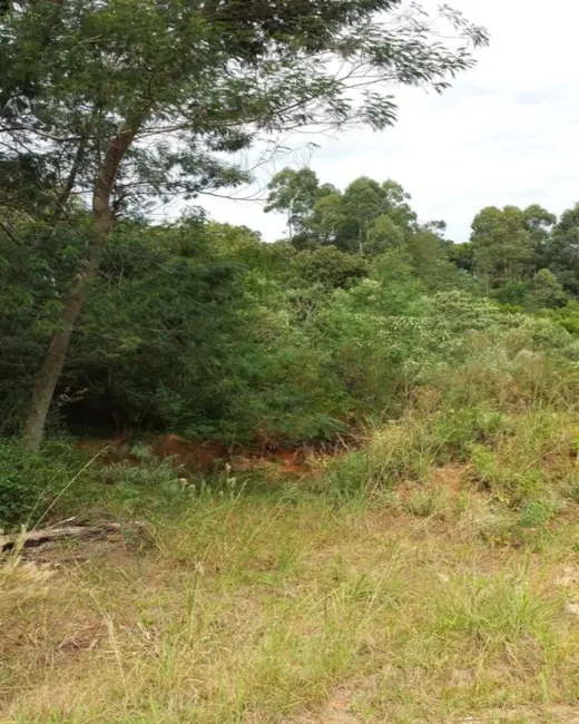 Foto 1 de Terreno / Lote à venda, 450m2 em Nova Petropolis - RS