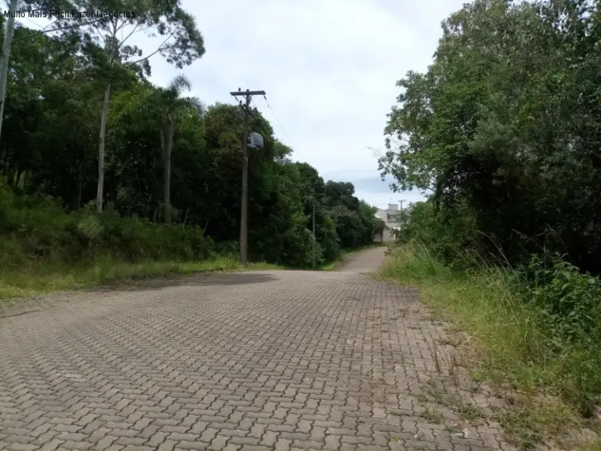 Terreno / Lote à venda, 500m2 em Nova Petropolis - RS - imagem 3 Foto 3 de Terreno / Lote à venda, 500m2 em Nova Petropolis - RS