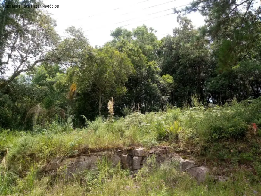 Terreno / Lote à venda, 500m2 em Nova Petropolis - RS - imagem 1 Foto 1 de Terreno / Lote à venda, 500m2 em Nova Petropolis - RS