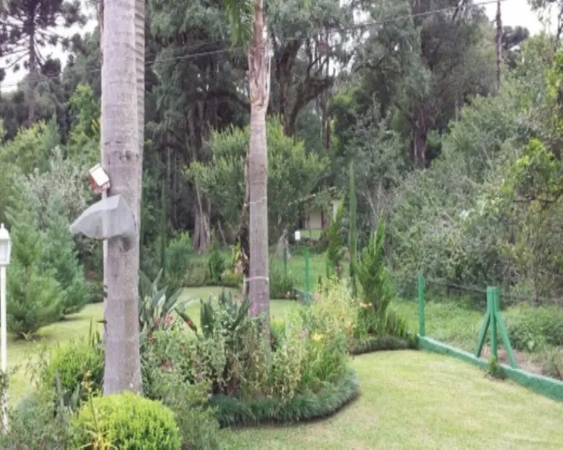 Foto 3 de Casa com 4 quartos à venda, 309m2 em Nova Petropolis - RS