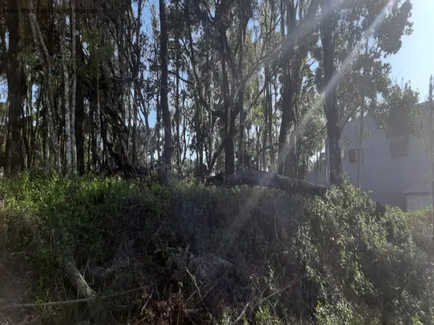 Terreno / Lote à venda, 848m2 em Nova Petropolis - RS - imagem 3 Foto 3 de Terreno / Lote à venda, 848m2 em Nova Petropolis - RS