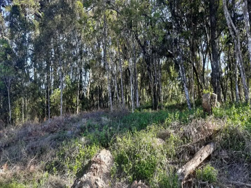 Terreno / Lote à venda, 848m2 em Nova Petropolis - RS - imagem 4 Foto 4 de Terreno / Lote à venda, 848m2 em Nova Petropolis - RS