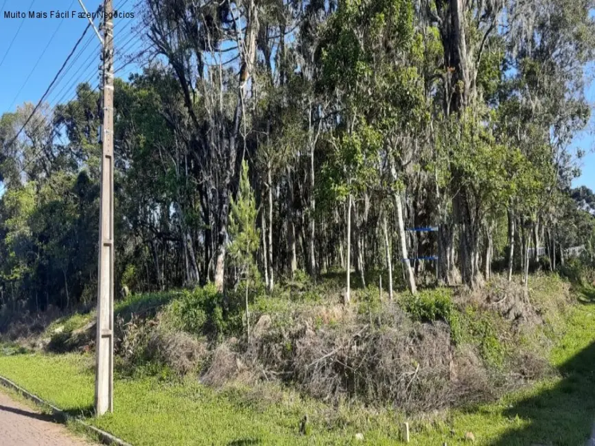 Foto 1 de Terreno / Lote à venda, 848m2 em Nova Petropolis - RS