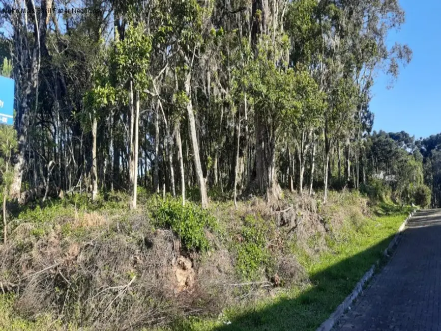 Foto 2 de Terreno / Lote à venda, 848m2 em Nova Petropolis - RS