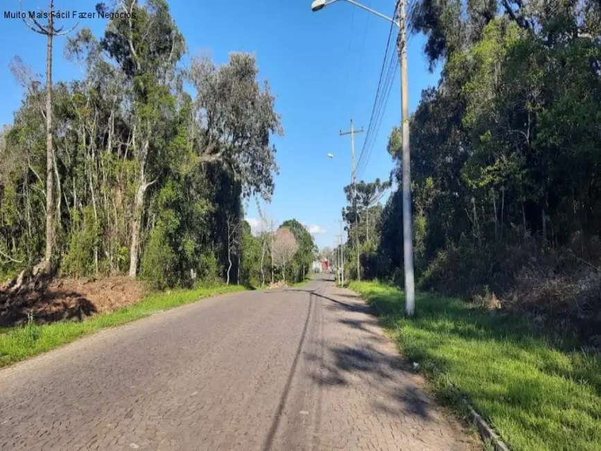 Terreno / Lote à venda, 848m2 em Nova Petropolis - RS - imagem 7 Foto 7 de Terreno / Lote à venda, 848m2 em Nova Petropolis - RS