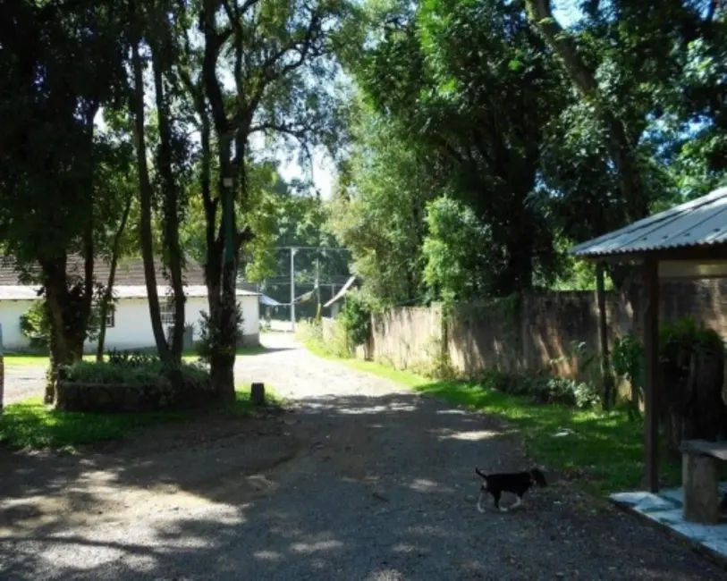 Terreno / Lote com 2 quartos à venda, 2100m2 em Nova Petropolis - RS - imagem 8 Foto 8 de Terreno / Lote com 2 quartos à venda, 2100m2 em Nova Petropolis - RS