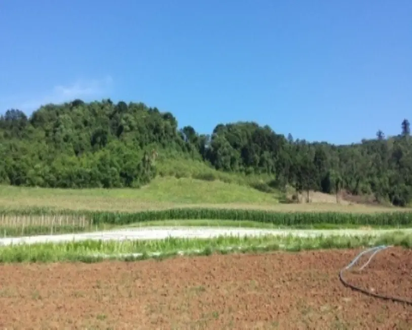 Terreno / Lote à venda, 20m2 em Nova Petropolis - RS - imagem 1 Foto 1 de Terreno / Lote à venda, 20m2 em Nova Petropolis - RS