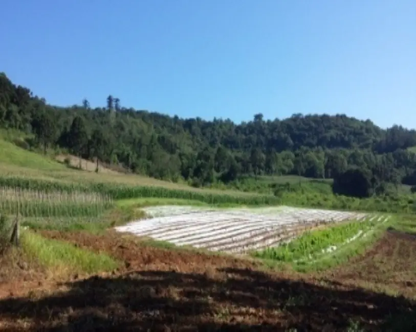 Terreno / Lote à venda, 20m2 em Nova Petropolis - RS - imagem 3 Foto 3 de Terreno / Lote à venda, 20m2 em Nova Petropolis - RS