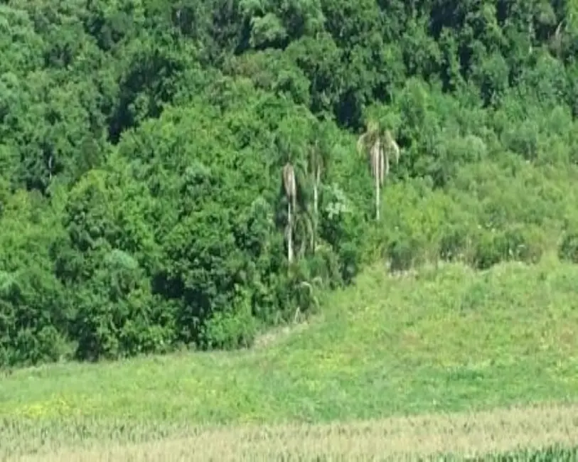 Terreno / Lote à venda, 20m2 em Nova Petropolis - RS - imagem 9 Foto 9 de Terreno / Lote à venda, 20m2 em Nova Petropolis - RS