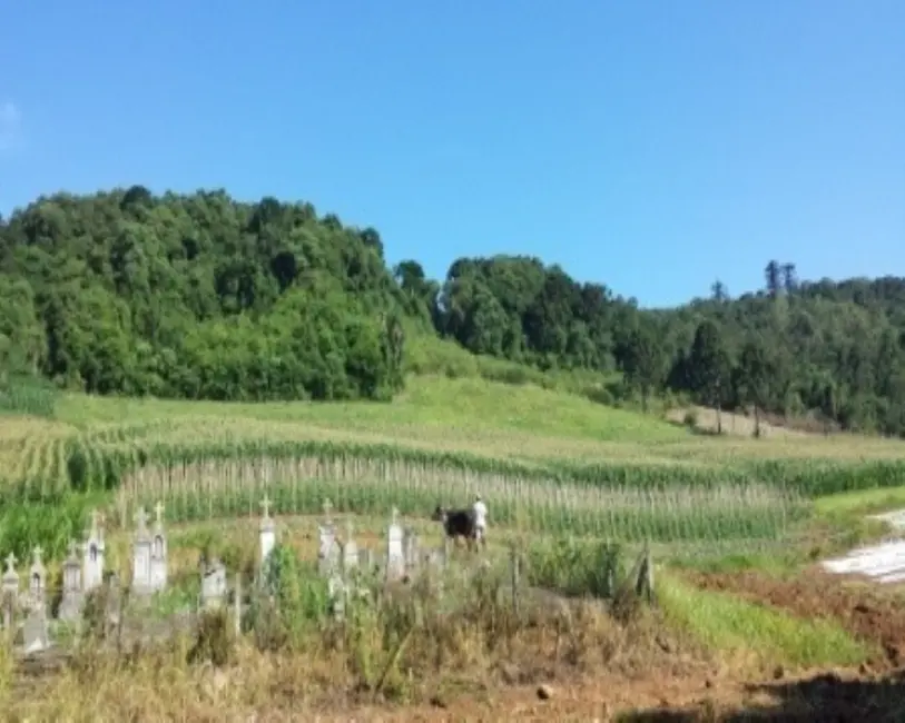 Terreno / Lote à venda, 20m2 em Nova Petropolis - RS - imagem 2 Foto 2 de Terreno / Lote à venda, 20m2 em Nova Petropolis - RS